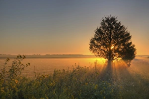 Sunray Prints: Sunrise at Prairie Ridge State Natural Area, Marion Co, IL