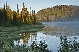 Grasses Prints: Sunrise; Reflection Lake; Mount Rainier National Park; Washington; USA