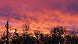 Beginning Prints: Sunrise silhouette, Grand Teton National Park, Wyoming USA