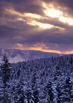 Images Dated 24th May 2005: Sunrise over a snow covered forest in the Mt Hood National Forest, Oregon Cascades