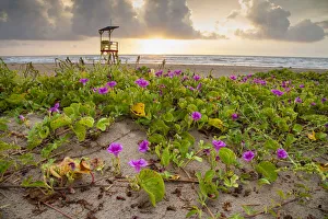 Cameron County Prints: Sunrise at South Padre Island