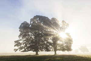 Simplicity Prints: Sunrise, Usk Valley, South Wales, UK