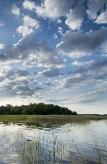 Images Dated 15th August 2006: Sunrise from Wolf Island, Kabetogama Lake, Voyageurs National Park, Minnesota, USA