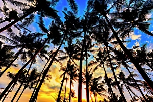 View From Below Prints: Sunset in Bali, Indonesia, a tropical paradise