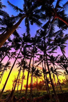 View From Below Prints: Sunset in Bali, Indonesia, a tropical paradise