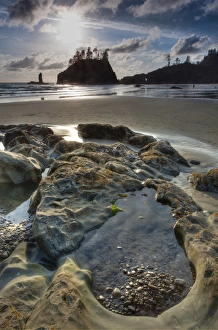 Natural Beauty Prints: Sunset and beach. Olympic National Park, Washington, US