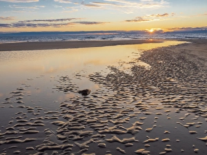 Prints of Sunset over beach and stream. Kalaloch Beach, Olympic Peninsula, Washington State Images Dated 2024 September: Sunset over beach and stream. Kalaloch Beach, Olympic Peninsula, Washington State