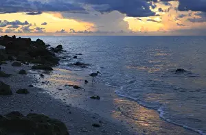 Sanibel Prints: Sunset, beaches, South Seas Island Resort Captiva Island, Florida