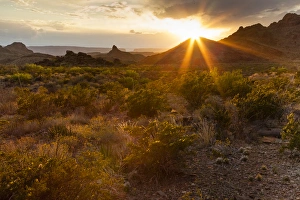 Mountains Prints: Sunset in Big Bend National Park