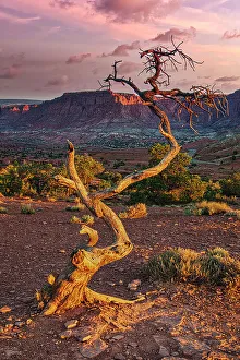 Michael Schertz Prints: Sunset in Capitol Reef National Park