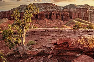 Michael Schertz Prints: Sunset in Capitol Reef National Park