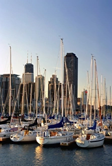 Sky Scraper Prints: Sunset on Chicago marina