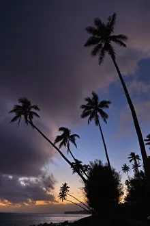 Sunset over coconut palm trees and Pacific Ocean, Rarotonga, Cook Islands, South Pacific Sunset over coconut palm trees and Pacific Ocean, Rarotonga, Cook Islands, South Pacific