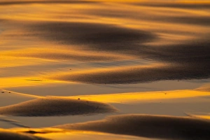 Pismo Beach Prints: Sunset colors the shoreline at Pismo Beach California