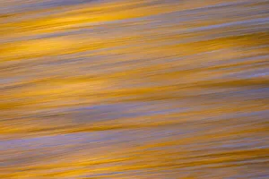 Snake River Prints: Sunset colors and trees reflecting on Snake River, Grand Teton National Park, Wyoming