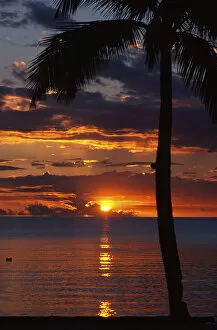Images Dated 9th September 2004: Sunset, Denarau Island, Fiji