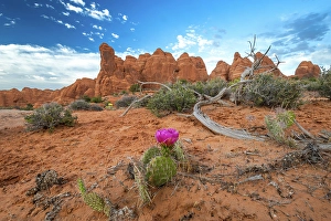 Images Dated 12th September 2024: Sunset, Devil's Garden, Arches National Park, Utah, US
