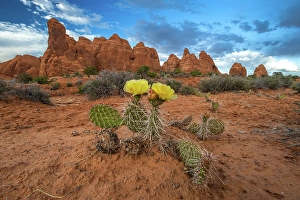 Images Dated 12th September 2024: Sunset, Devil's Garden, Arches National Park, Utah, US
