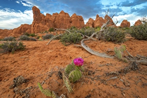Images Dated 12th September 2024: Sunset, Devil's Garden, Arches National Park, Utah, US