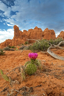 Images Dated 12th September 2024: Sunset, Devil's Garden, Arches National Park, Utah, US