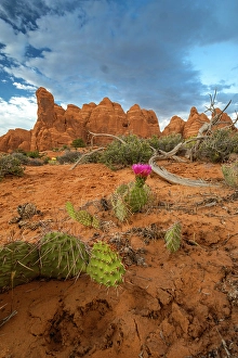 Images Dated 12th September 2024: Sunset, Devil's Garden, Arches National Park, Utah, US