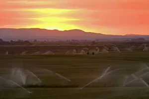 Images Dated 8th July 2007: Sunset on farmland irrigation near Grandview, Idaho