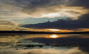 Landscape Prints: Sunset over flooded farmland