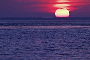 East Coast Prints: Sunset Fort Meyers, Florida