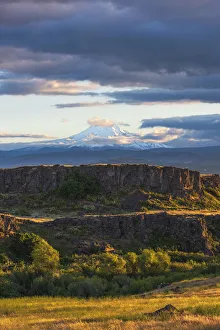 Ledge Prints: Sunset glow on tiered hills with snow-covered Mt. Hood in background