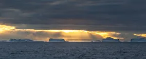 Mountains Prints: Sunset over icebergs, Antarctica