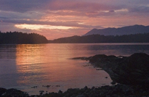 Images Dated 14th September 2006: Sunset from Keith Island, Broken Island Group, Pacific Rim National Park Preserve