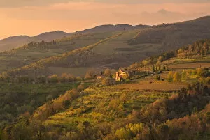 Sunset light hits a farmhouse and its vineyards, on the rolling hills of Chianti