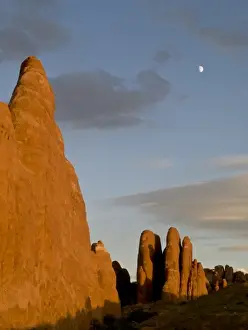 Images Dated 9th October 2008: Sunset light and rock fins in north end of Arches National Park, UT, with moon in sky