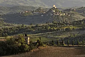 Images Dated 25th September 2010: Sunset light on rolling agricultural hills of Tuscany after the harvest, San Quirico