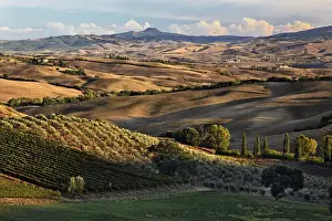 Images Dated 25th September 2010: Sunset light on rolling agricultural hills of Tuscany after the harvest, San Quirico