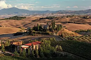 Tuscany Prints: Sunset light on rolling agricultural hills of Tuscany after the harvest, San Quirico