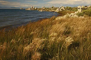Storm Cloud Prints: Sunset light on tufa formation, Mono Lake, Tufa State Natural Reserve, California