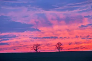 Images Dated 21st February 2017: Sunset Marion Co. IL