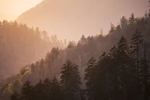 Verdant Prints: Sunset from Morton Overlook, Great Smoky Mountains National Park, Tennessee