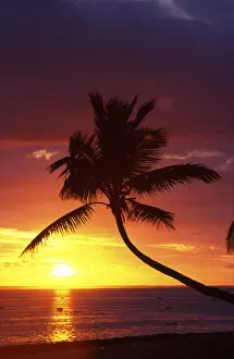 Images Dated 9th September 2004: Sunset and Palm Trees, Coral Coast, Viti Levu, Fiji