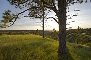 Images Dated 14th June 2007: Sunset on the Pine Ridge at Chadron State Park in Nebraska