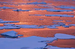 Peace Prints: Sunset reflections Greenland Sea East Coast of Greenland
