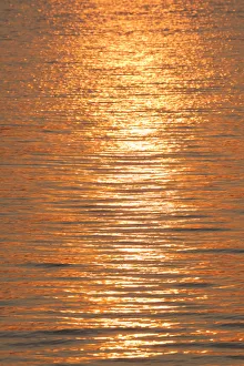 Images Dated 12th March 2016: Sunset reflections on ripples of water