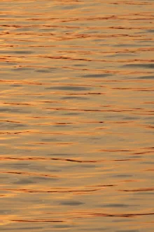 Copy Space Prints: Sunset reflections on ripples of water