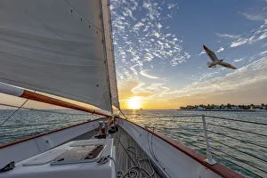 Schooner Prints: Sunset sail on schooner America 2. 0 in Key West, Florida, USA