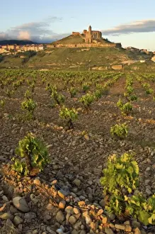 Type Prints: Sunset on San Vicente de la Sonsierra village perched on a hill top overlooking vineyards