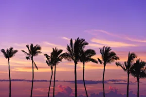 Sunset through silhouetted palms at Anaeho omalu Bay, Kohala Coast, Big Island