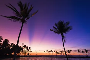 Images Dated 28th October 2013: Sunset through silhouetted palms at Anaeho omalu Bay, Kohala Coast, Big Island