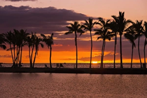 Rest Prints: Sunset through silhouetted palms at Anaehoomalu Bay, Kohala Coast, The Big Island