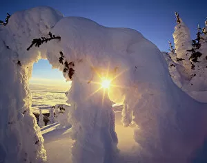 Images Dated 31st August 2006: Sunset thru the Snowghosts at Big Mountain near Whitefish Montana
